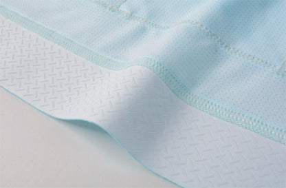 Women's LS Jersey PRO Shanxia -Ice blue